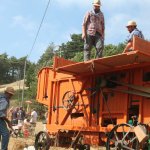 Antica trebbiatura (foto E. Celona)